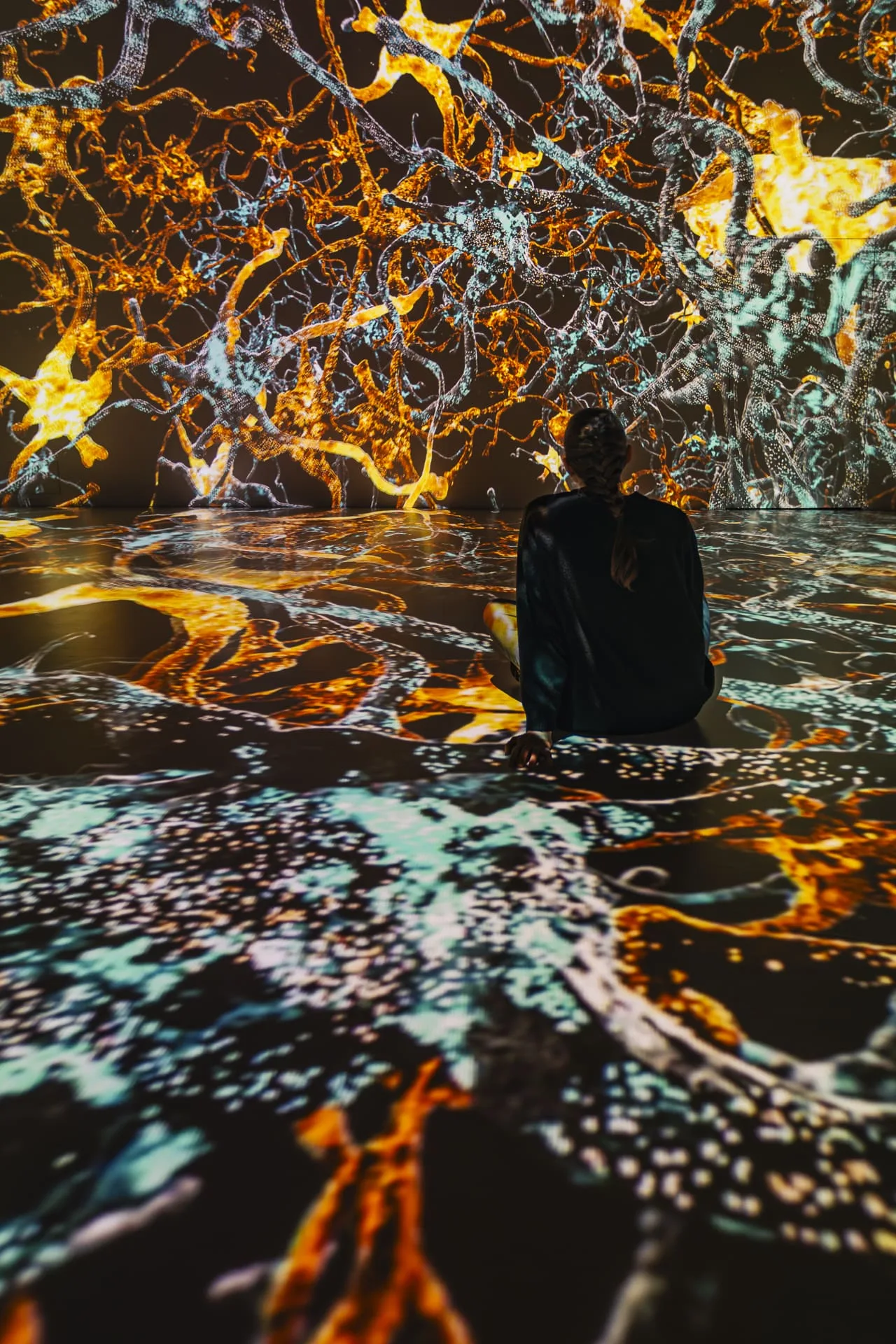 A generative light work shown at Signal Space